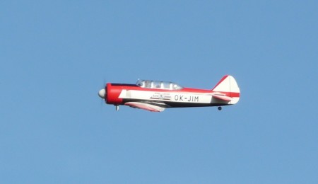 Copy of P1200913.JPG