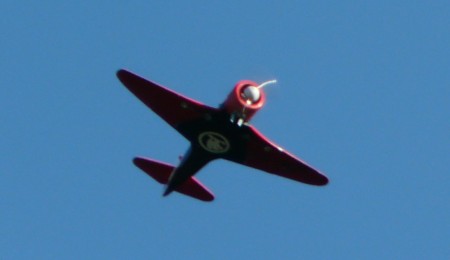 Copy of P1200916.JPG