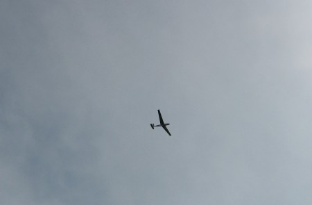IMG_4445.JPG