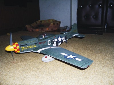 P_51D_-_6.jpg