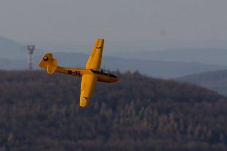 ASF_8739up.jpg