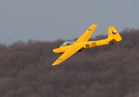 ASF_8605up.jpg