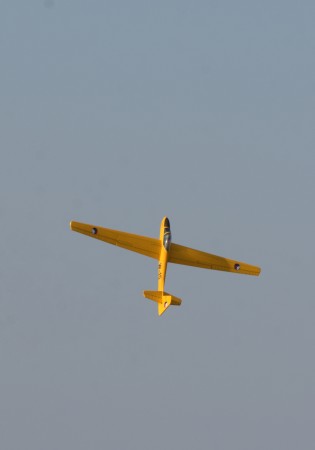 ASF_8638up.jpg