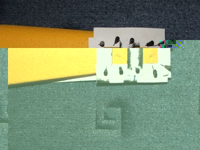 DSCF1035.JPG