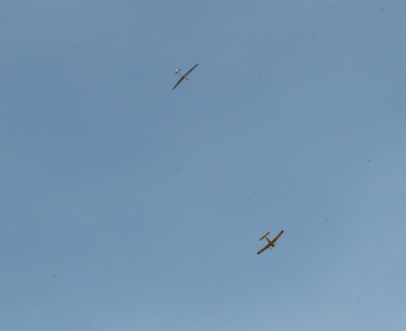 Copy of P1180181.JPG